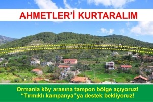 Bir Yangın Hikayesi