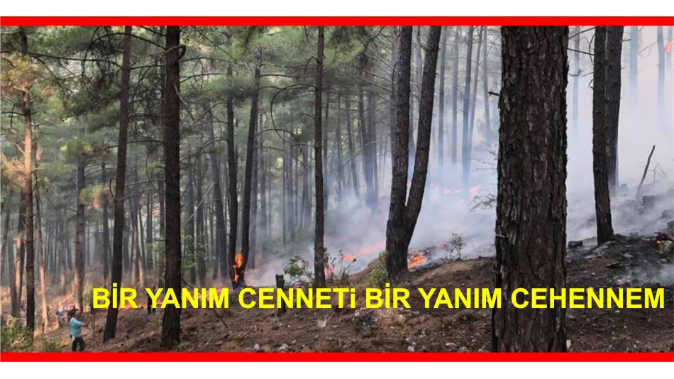 BİR YANGIN HİKAYESİ Bölüm-4