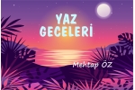 YAZ GECELERİ