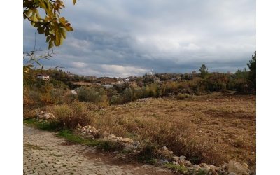 Alıçlıyatak Suyuna Yol Yapıldı