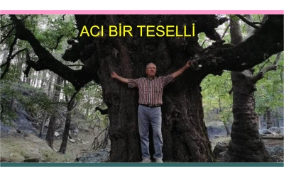 6- YANGINDAN GERİYE KALAN ACI BİR TESELLİ