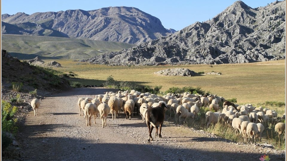 Aldürbede Bir Yayla Keşfi