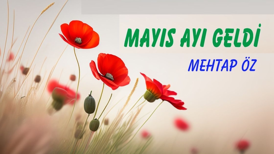 MAYIS AYI GELDİ…